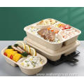 100% Compostable Sugarcane pulp Lunch Box